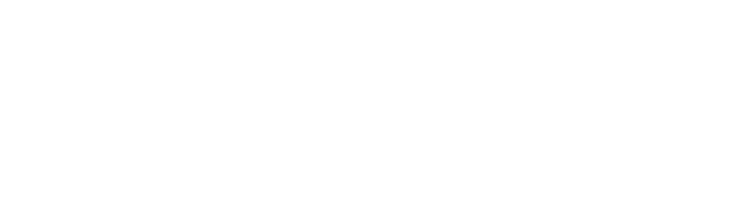 Logo Binitord